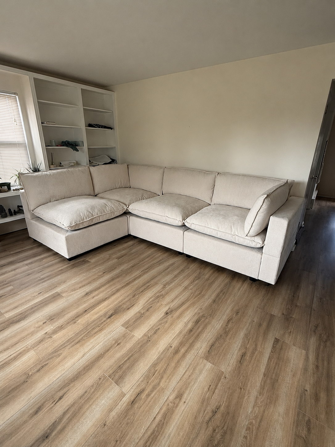 Bellamia Collections Luna Modular Sectional Sofa